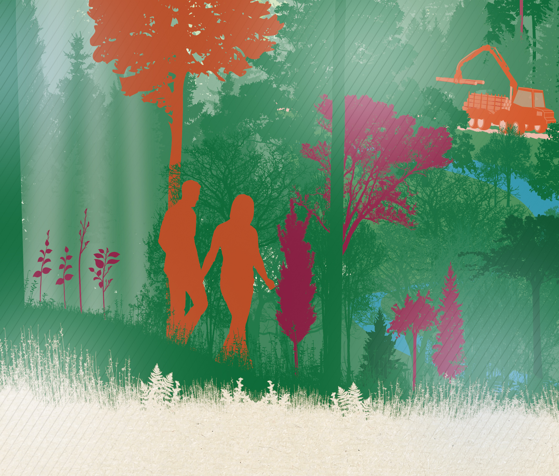Forestry Commission CCF Continuous Cover Forestry infographic_illustration